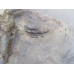 Задняя часть глушителя BMW X5 E53 2000-2007 255908 18107502182