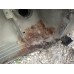 Крыло заднее правое BMW X5 E53 2000-2007 256914 41217129094
