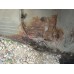 Крыло заднее правое BMW X5 E53 2000-2007 256914 41217129094