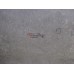МКПП (механическая коробка переключения передач) Renault Clio II\Symbol 1998-2008 257905 7701723251 МКПП (механическая коробка переключения передач) Renault Clio II\Symbol 1998-2008 257905 7701723251