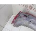 Бампер задний Peugeot 308 2007-2015 257977 7410EL Бампер задний Peugeot 308 2007-2015 257977 7410EL