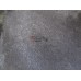 МКПП (механическая коробка переключения передач) Skoda Octavia (A4 1U-) 2000-2011 258847_656661 02K300049CX МКПП (механическая коробка переключения передач) Skoda Octavia (A4 1U-) 2000-2011 258847_656661 02K300049CX