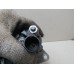 Стартер Seat Ibiza V 2008-2017 258891_656936 02T911023R