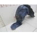 Локер передний правый Chevrolet Lacetti 2004-2013 259563 96810479 Локер передний правый Chevrolet Lacetti 2004-2013 259563 96810479