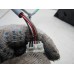 Зеркало правое электрическое Nissan Note (E11) 2006-2013 259737 963019U16B Зеркало правое электрическое Nissan Note (E11) 2006-2013 259737 963019U16B